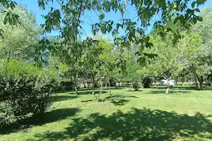 Grünes Campinggelände mit Rasen, Bäumen und Schatten unter einem großen Ast im Sommerhimmel.