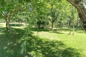 Grüner Campinggarten mit Rasen und mehreren Bäumen, Schatten unter den Ästen und gepflegten Wegen im Hintergrund.