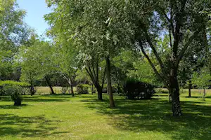 Grüner Rasen mit mehreren Bäumen auf einem Campingplatz, umgeben von Hecken und gepflegten Wegen.