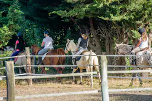 Camping Airotel Oléron -Reiten in der Nähe vom Campingplatz
