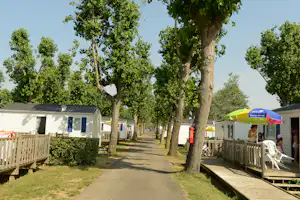 Camping-Gasse mit Wohnwagen und Mobilheimen, Holzterrassen, Bäumen und Rasenfläche entlang des Weges.