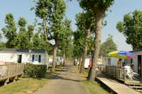 Camping Airotel Village Corsaire des 2 Plages  -  Mobilheime vom Campingplatz mit Veranden