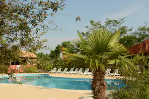 Schwimmbad mit blauen Beckenrand, weißen Liegen und Palmen im Vordergrund, umgeben von Bäumen und einem Gebäude im Hintergrund.