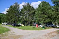 Camping Ajdovscina - Standplätze auf grüner Wiese umgeben von Bäumen