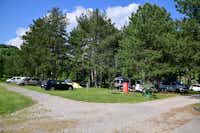 Camping Ajdovscina - Standplätze auf grüner Wiese umgeben von Bäumen