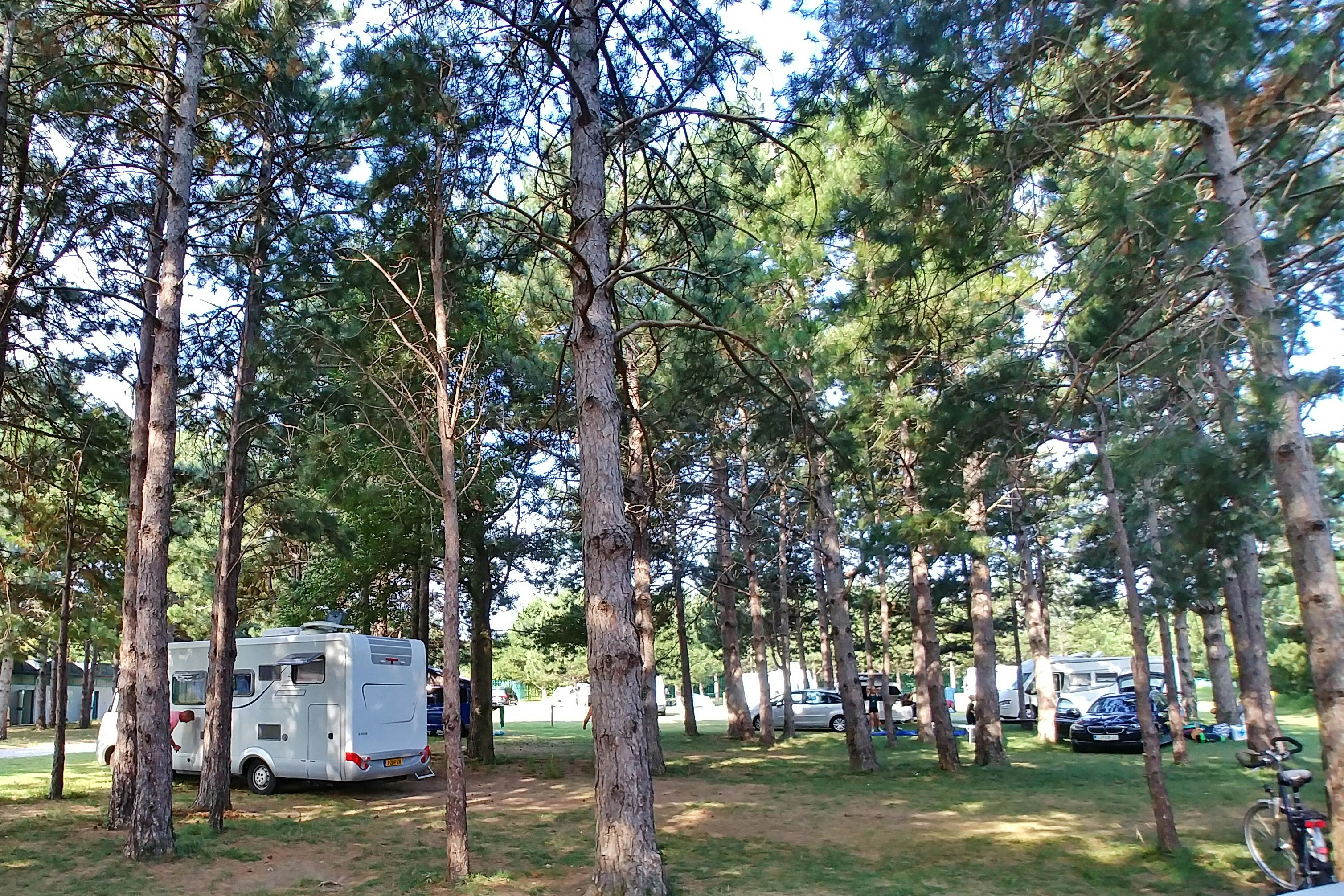 Camping Ajdovscina - Standplätze unter Nadelbäumen