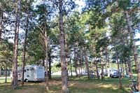Camping Ajdovscina - Standplätze unter Nadelbäumen