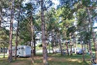 Camping Ajdovscina - Standplätze unter Nadelbäumen