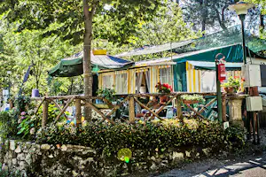 Wohnwagen mit überdachter Terrasse, Holzgeländer und Pflanzen im Grünen, neben einem Baum und einem Weg am Campingplatz.