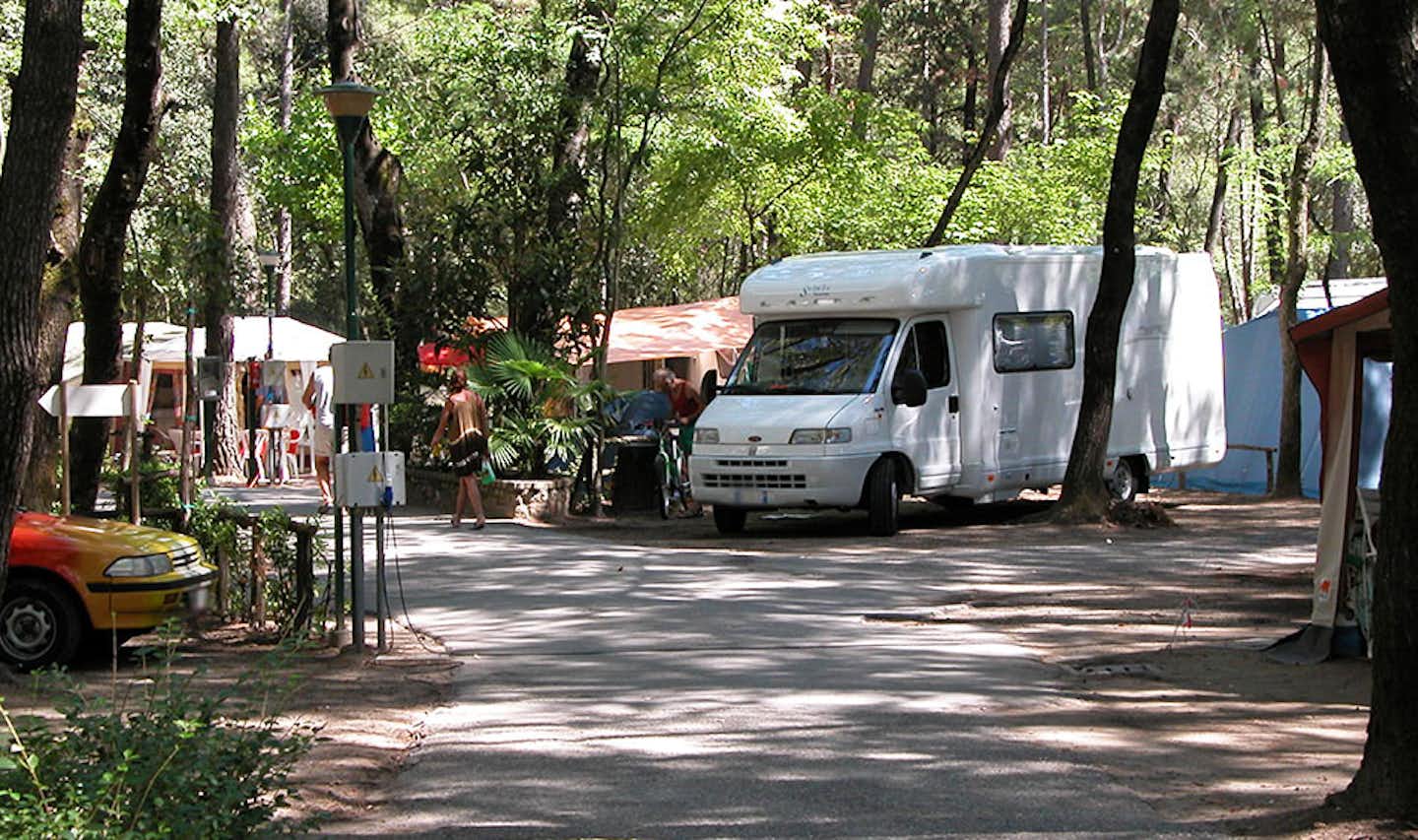Camping al Bosco - Strasse auf dem Campingplatz mit Wohnmobil auf einem Stellplatz zwischen Bäumen