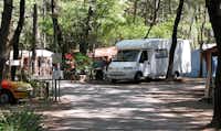 Camping al Bosco - Strasse auf dem Campingplatz mit Wohnmobil auf einem Stellplatz zwischen Bäumen