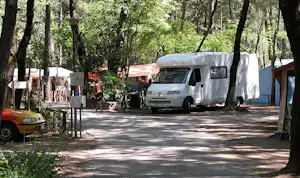 Wohnmobil auf einem Campingplatzweg unter hohen Bäumen, daneben Zelte und weitere Fahrzeuge im Hintergrund.