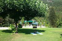 Camping Al Censo - Liegewiese auf dem Campingplatz mit einem schattenspendenden Baum