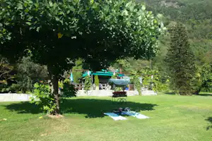 Camping Al Censo - Liegewiese auf dem Campingplatz mit einem schattenspendenden Baum
