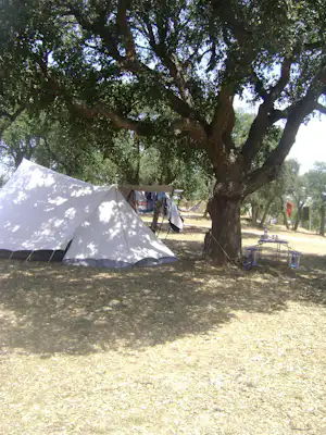 Zelt auf einem Campingplatz im Schatten großer Bäume, daneben Campingstühle und ein weiterer Zeltbereich.
