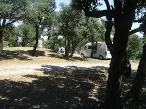 Wohnmobil auf einem Campingplatz zwischen Bäumen, mit Stellplatzfläche aus Gras und Schotter im Hintergrund.