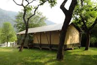 Camping Al Lago - Safarizelt unter Bäumen