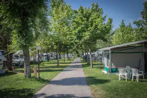 Campingplatz-Allee mit Zeltvorzelten, weißen Stühlen und Kiesweg zwischen Bäumen, daneben geparkte Autos und Wohnwagen.