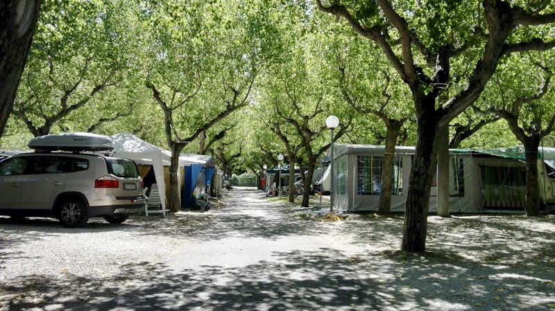 International Riccione Camping Village - Wohnmobil- und  Wohnwagenstellplätze im Schatten der Bäume