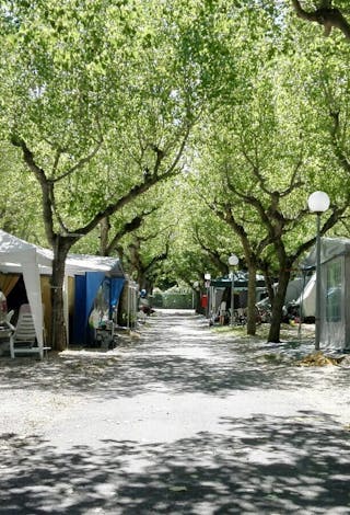 International Riccione Camping Village
