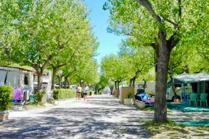 International Riccione Camping Village - Wohnmobil- und Wohnwagenstellplätze im Schatten der Bäume