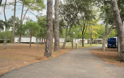 Camping Albret