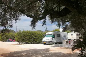 Wohnmobile auf einem Stellplatz, im Schatten eines großen Baums, mit Büschen und Kiesboden im Campingbereich.