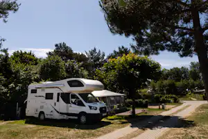 Wohnmobil auf einem Campingplatz am Weg, neben Bäumen und Hecken, mit Rasenfläche und Stellplatzmarkierung.