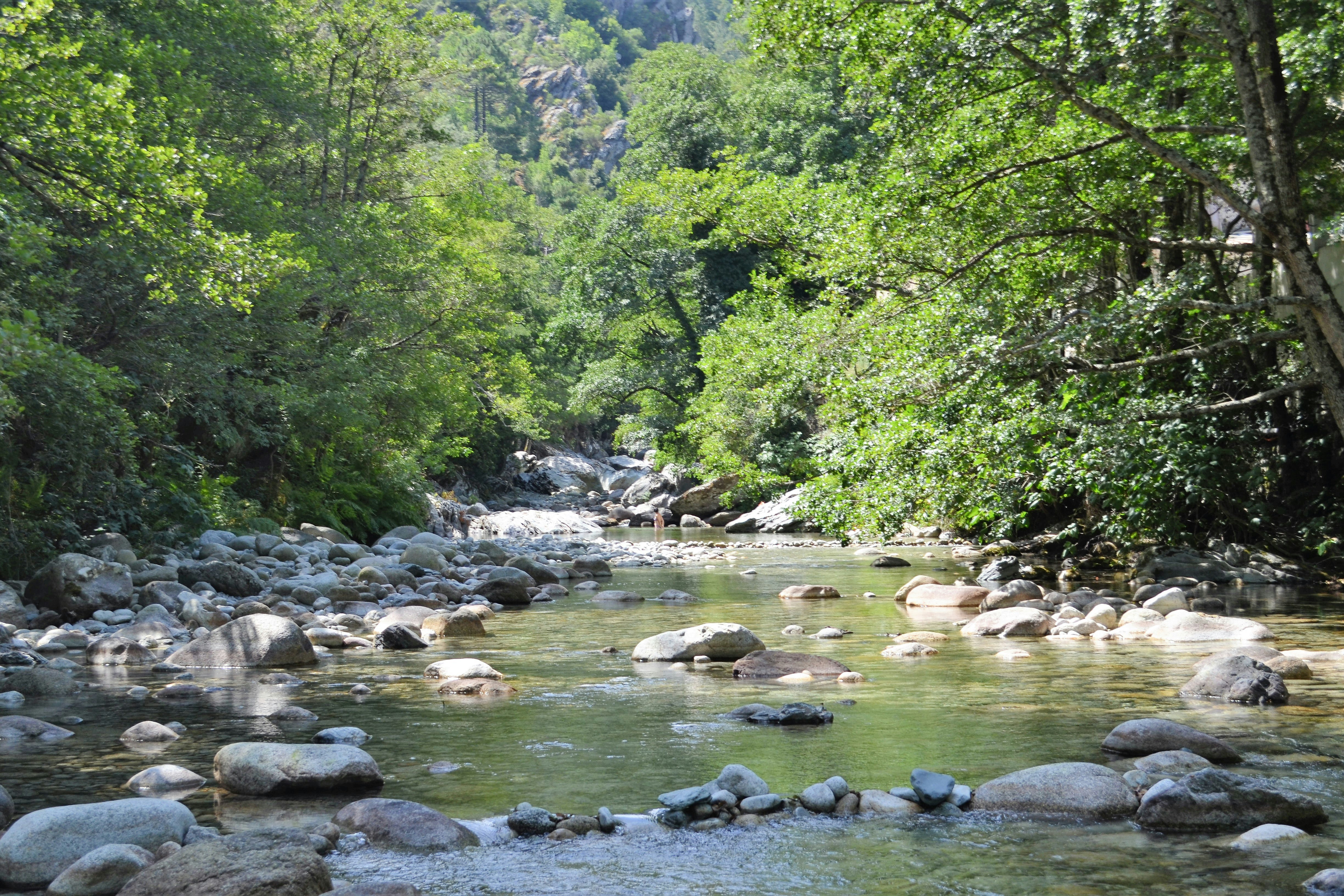 Camping Alivetu - der  Fluss Restonica in der Nähe vom Campingplatz