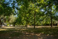 Camping Almoetia - Die Stellplatzwiese mit Bäumen