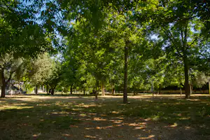 Camping Almoetia - Die Stellplatzwiese mit Bäumen