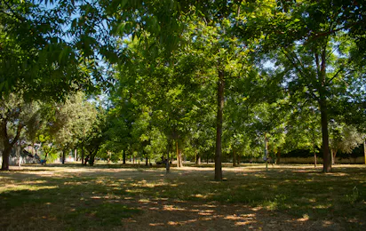 Camping Almoetia