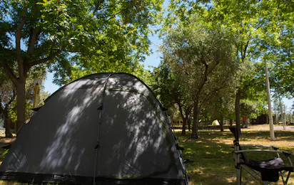 Camping Almoetia