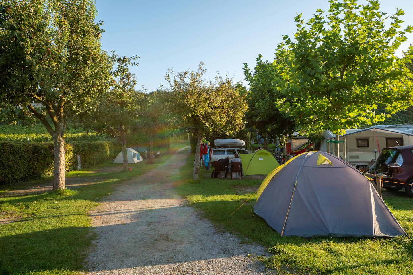 Camping Alpenblick - Platzuebersicht