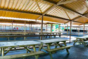 Camping Alpha - Überdachte Terrasse auf dem Campingplatz