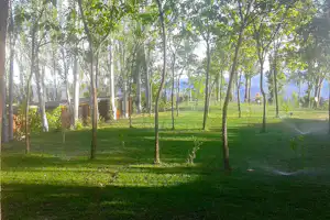 Camping Alpujarra - Stellplatz vom Campingplatz zwischen Bäumen