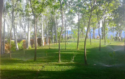Camping Alpujarras