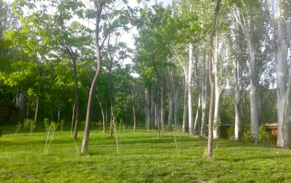 Camping Alpujarras