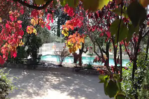 Blätter und Bäume im Vordergrund, dahinter ein türkisfarbenes Schwimmbecken und weiße Zäune im Campinggarten.
