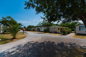 Flower Camping Altéa Flower