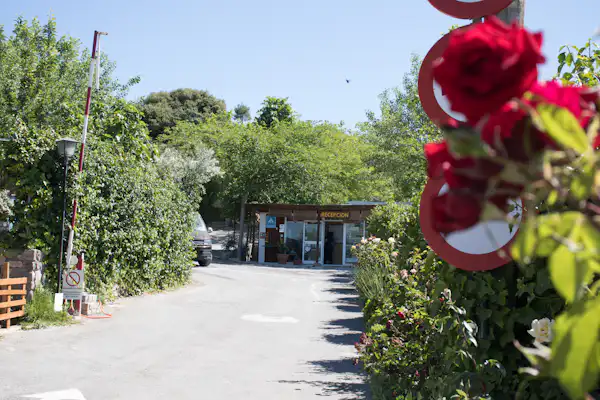 Camping Alto de Viñuelas