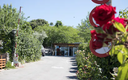 Camping Alto de Viñuelas