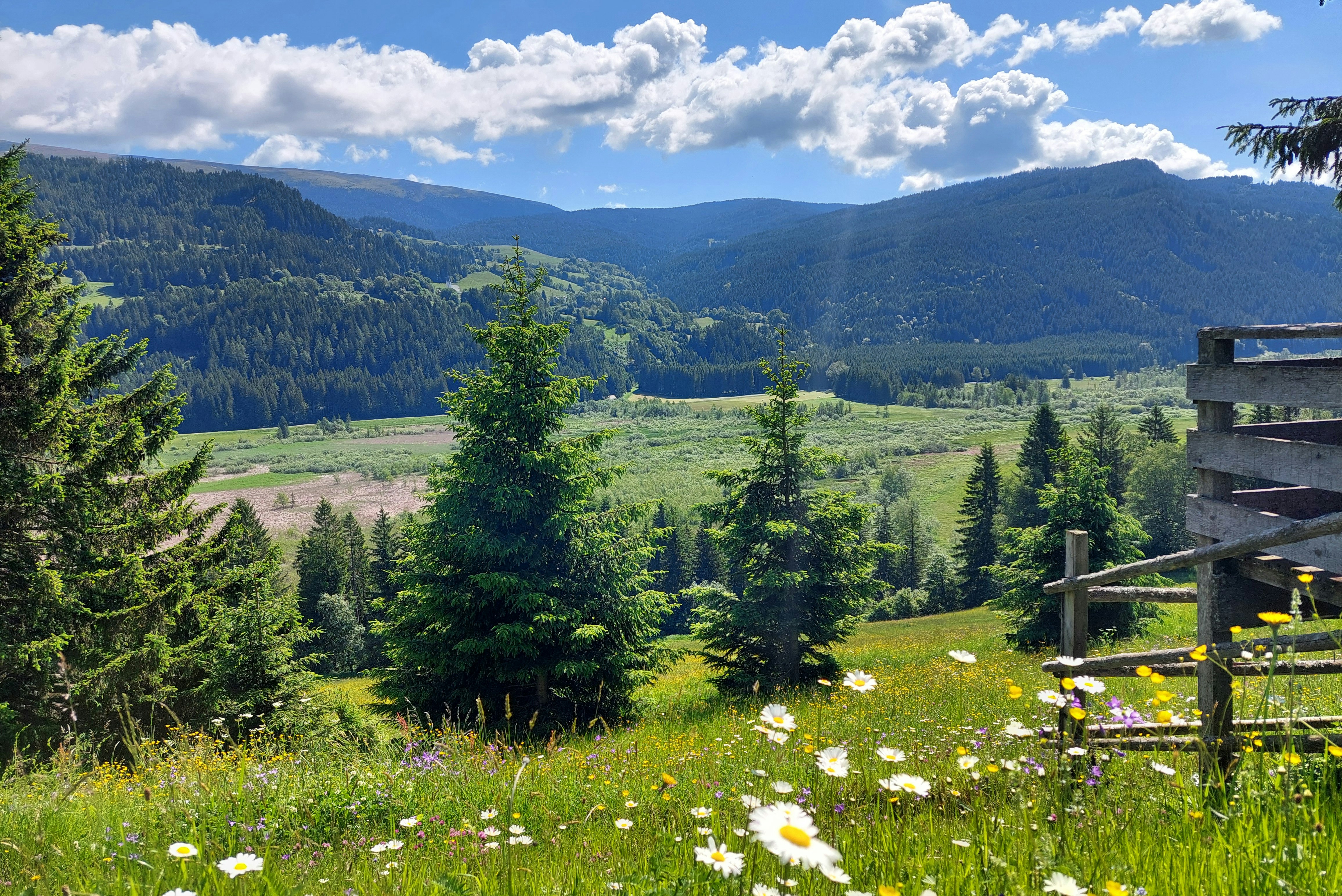 Camping am Badesee - Wanderwege in der Natur in der Umgebung des Campingplatzes