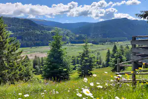 Camping am Badesee - Wanderwege in der Natur in der Umgebung des Campingplatzes