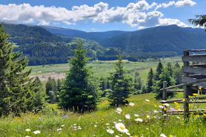 Camping am Badesee - Wanderwege in der Natur in der Umgebung des Campingplatzes