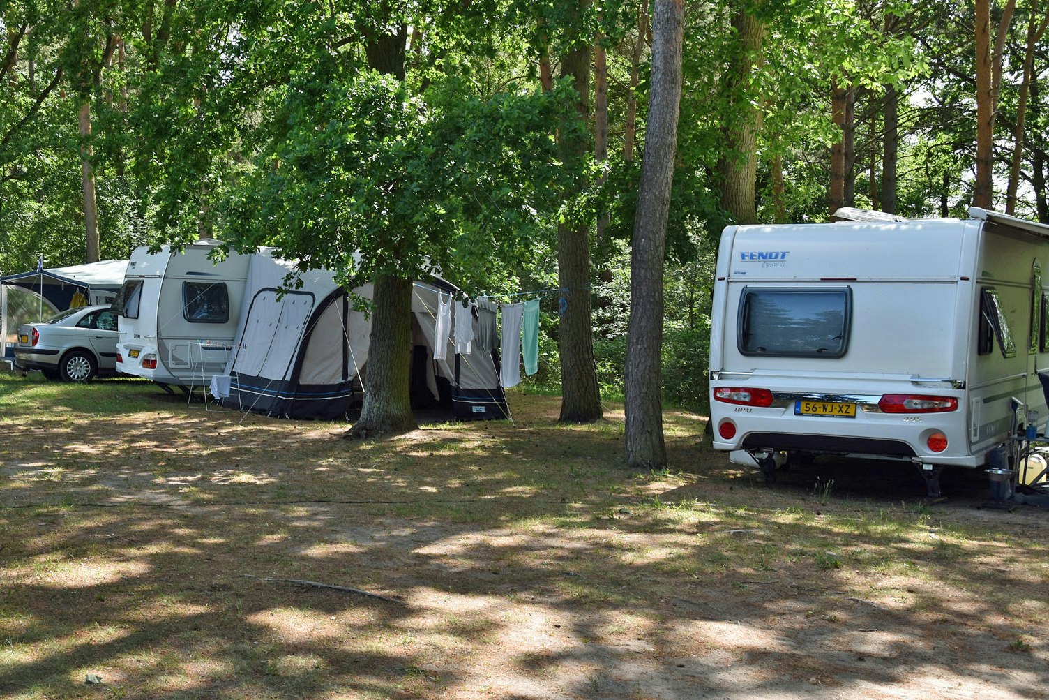 Campingplatz im Grünen: mehrere Wohnwagen und Zelte zwischen Bäumen, mit gepflastertem Weg und Rasenfläche.