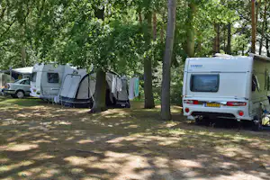 Campingplatz im Grünen: mehrere Wohnwagen und Zelte zwischen Bäumen, mit gepflastertem Weg und Rasenfläche.