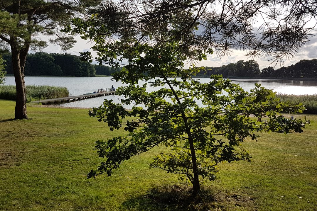 Grüner Rasen am Ufer mit Baum im Vordergrund, Steg und ruhigem See im Hintergrund, Blick über das Wasser.