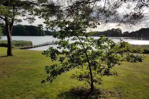 Grüner Rasen am Ufer mit Baum im Vordergrund, Steg und ruhigem See im Hintergrund, Blick über das Wasser.
