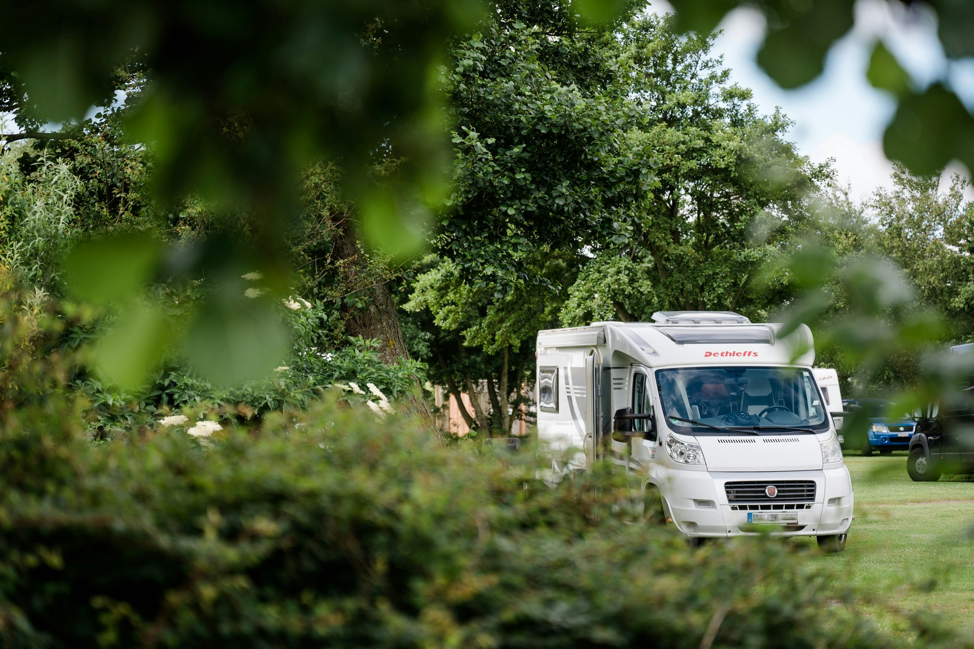Camping am Deich - Nordsee - Blick auf einen Stellplatz zwischen den Bäumen